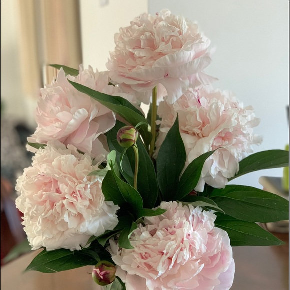 Meet your Posher, Julie - Picture 1 of 1